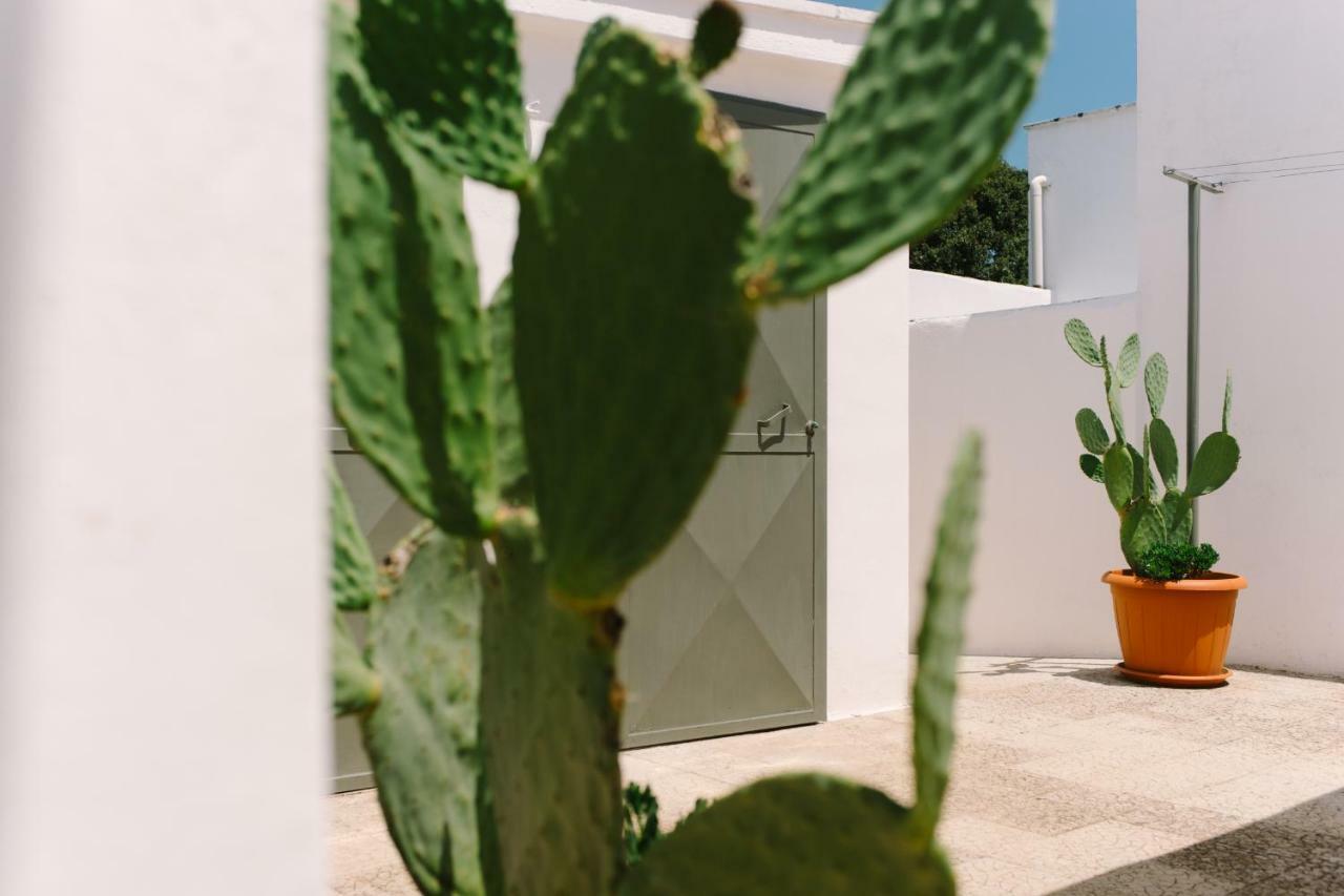 شقة Masseria Cervellera سيغلي ميسابيكا المظهر الخارجي الصورة