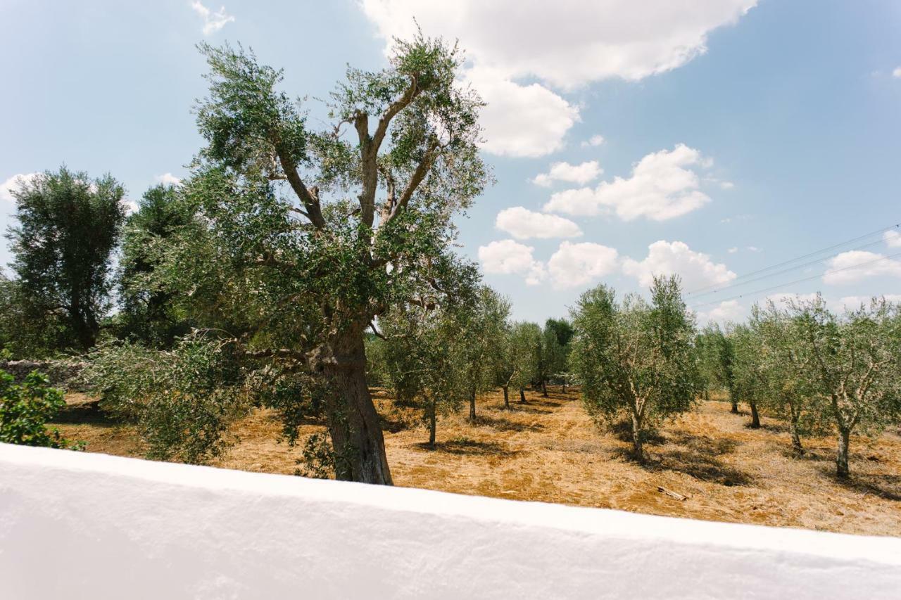 شقة Masseria Cervellera سيغلي ميسابيكا المظهر الخارجي الصورة