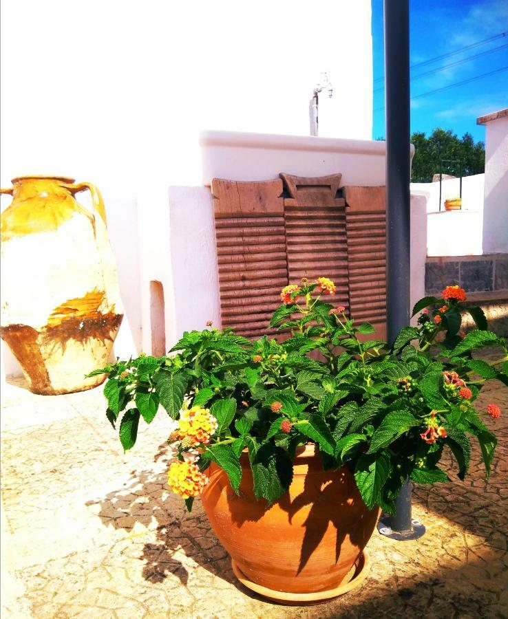 شقة Masseria Cervellera سيغلي ميسابيكا المظهر الخارجي الصورة